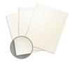 Elan Metallics Champagne Paper - 12 x 12 in 80 lb Text Metallic C/2S 25 per Package view 1