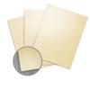 Elan Metallics Gold Paper - 12 x 12 in 80 lb Text Metallic C/2S 25 per Package view 1