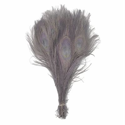 50 Pieces Silver Gray Bleached & Dyed Peacock Tail Eye Wholesale Feathers (Bulk) 10-12 Long Halloween Craft Supply | Moonlight Feather