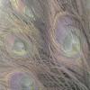 50 Pieces Silver Gray Bleached & Dyed Peacock Tail Eye Wholesale Feathers (Bulk) 10-12 Long Halloween Craft Supply | Moonlight Feather view 2