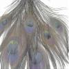 50 Pieces Silver Gray Bleached & Dyed Peacock Tail Eye Wholesale Feathers (Bulk) 10-12 Long Halloween Craft Supply | Moonlight Feather view 3