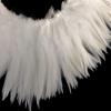 4 Inch Strip 4-6 Natural White Strung Chinese Rooster Saddle Feathers Halloween Costume Fly Tying Craft Supply | Moonlight Feather view 2
