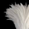 4 Inch Strip 4-6 Natural White Strung Chinese Rooster Saddle Feathers Halloween Costume Fly Tying Craft Supply | Moonlight Feather view 3