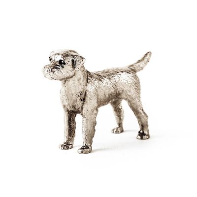 Border Terrier