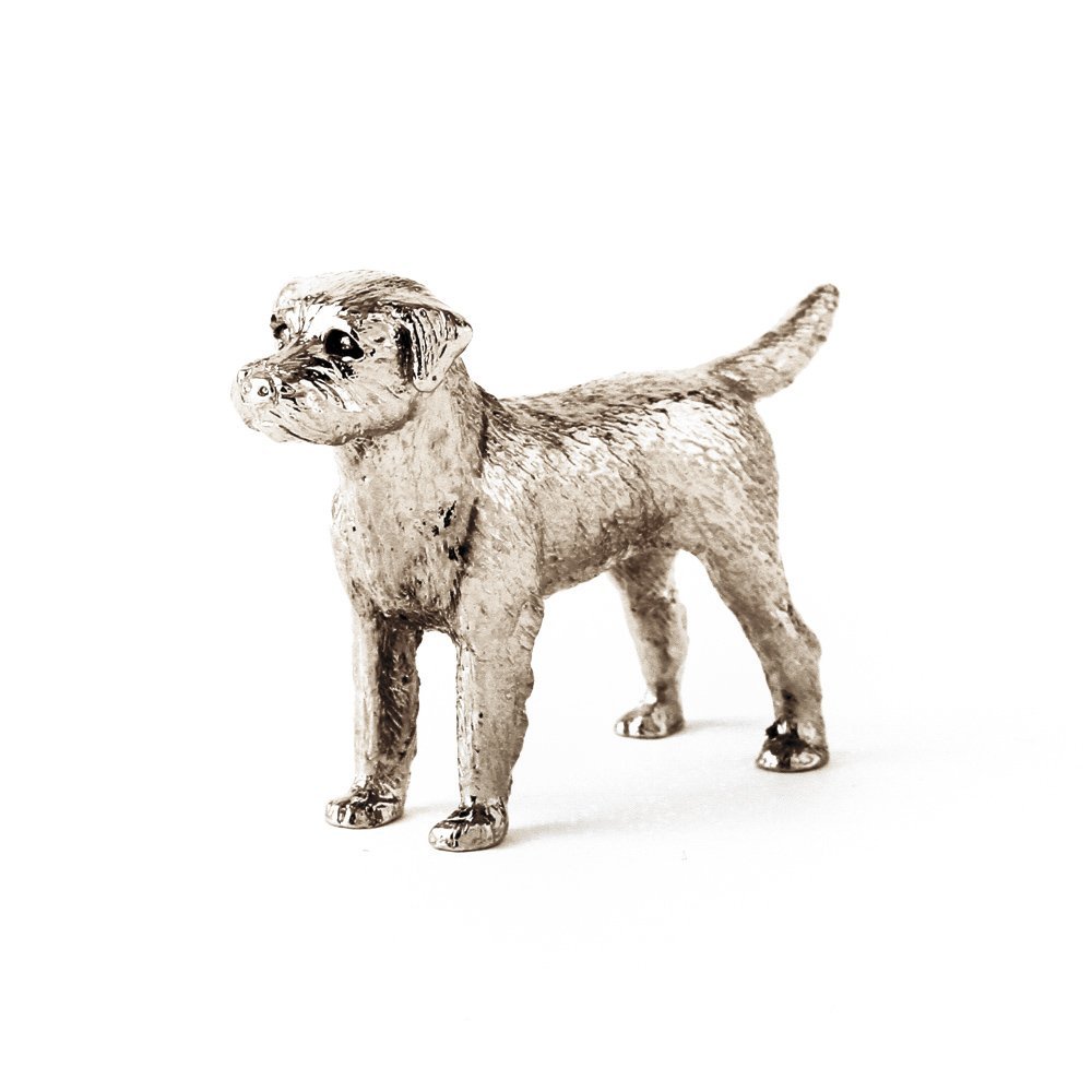 Border Terrier
