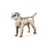 Border Terrier view 1