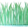 1 Yard - Aqua Green Goose Biots Stripped Wing Wholesale Feather Trim Halloween Craft Supply | Moonlight Feather view 2
