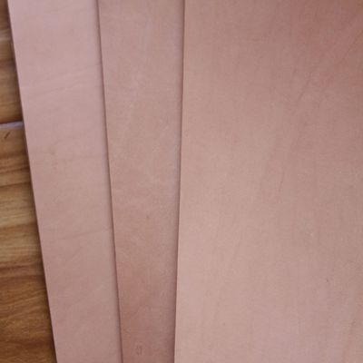 9-10 oz 11" x 8.5" Veg Tanned Cowhide Tooling Leather Piece