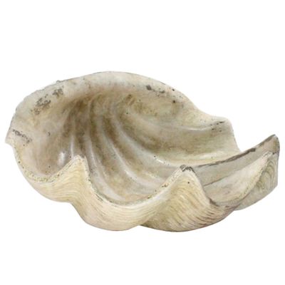 HomArt Cement Cast Clam Shell - Antique White (1)