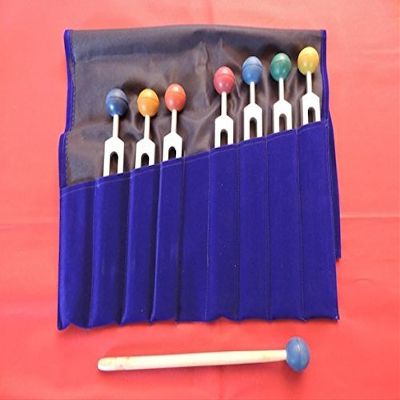 Radical Chakra Tuning Forks Set - 7 Tuning Forks with Colored Chakra Balls and Free Pouch and Free Activator