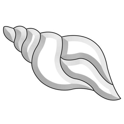 Conch Shell Bevel Cluster