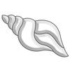 Conch Shell Bevel Cluster view 1