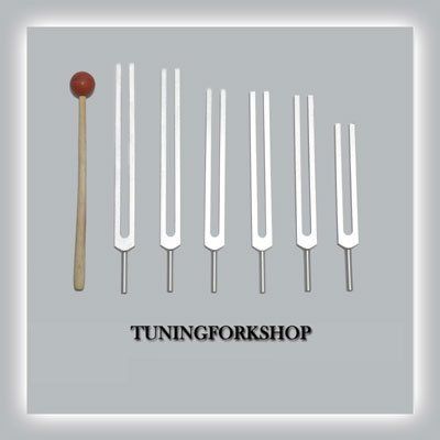 6 Pc Solfeggio Tuning Fork Including 528 hz with Mallet & Pouch