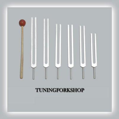 6 Pc Solfeggio Tuning Fork Including 528 hz with Mallet & Pouch