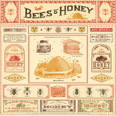 Cavallini Decorative Paper - Bees & Honey 20"x28" Sheet - Cavallini Decorative Paper - Bees & Honey 20"x28" Sheet