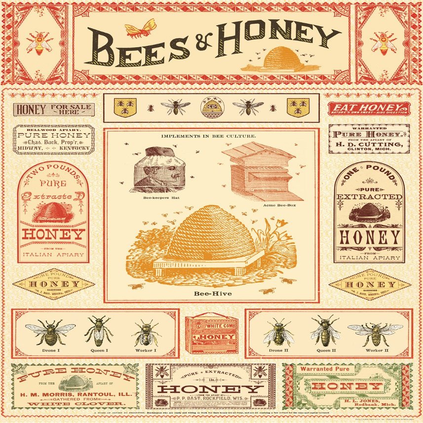 Cavallini Decorative Paper - Bees & Honey 20"x28" Sheet - Cavallini Decorative Paper - Bees & Honey 20"x28" Sheet