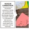 PA Paper Accents Muslin Cardstock 12" x 12" Satin Rose, 73lb colored cardstock paper for card making, scrapbooking, printing, quilling and crafts, 25 piece pack view 3