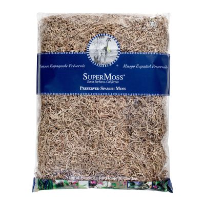 SuperMoss Spanish Preserved Swirly Moss, Natural