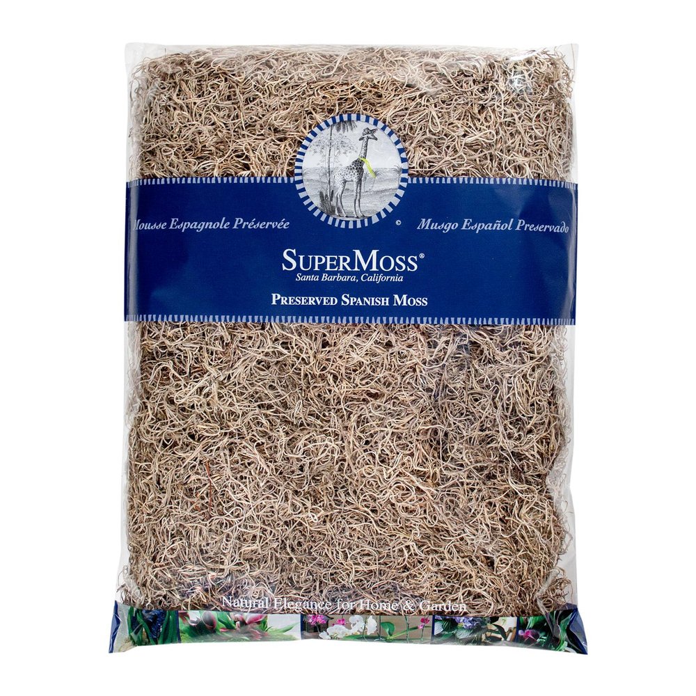 SuperMoss Spanish Preserved Swirly Moss, Natural
