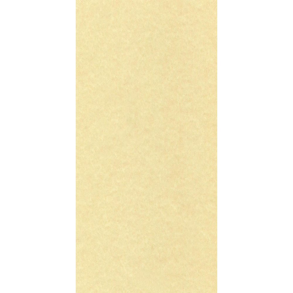 Cdstk Parchment 8.5x11 65lb 25pc Pk AncientGld UPC