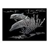 Royal Brush Silver Foil Engraving Dolphin Reef Art Mini Kit, 5" by 7" view 2