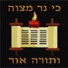 Pepita Sukkah Poster Candle Torah Needlepoint Canvas view 1