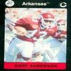 Autograph Warehouse Gary Anderson Football Card (Arkansas) 1991 Collegiate Collection No.50 view 1