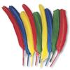 Quill Feathers, Assorted Colors, 24 Feathers/Pack view 1
