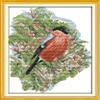 Happy Forever Cross Stitch Animal bird, bullfinch 2 view 1