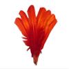 6 Pieces - Fiery Red Ombre Turkey Round Tom Wing Quill Feathers | Moonlight Feather view 1