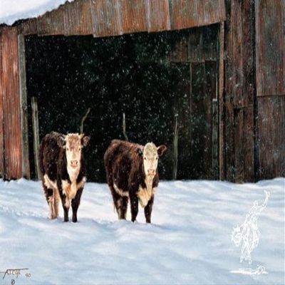 Tim Cox - Hicks' Hereford Heifers Open Edition on Paper