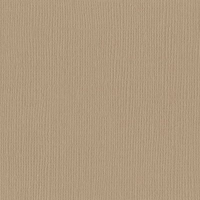 Bazzill BAZL-E-850 Bazzill Cardstock 12 x 12 Inch - Case of 25