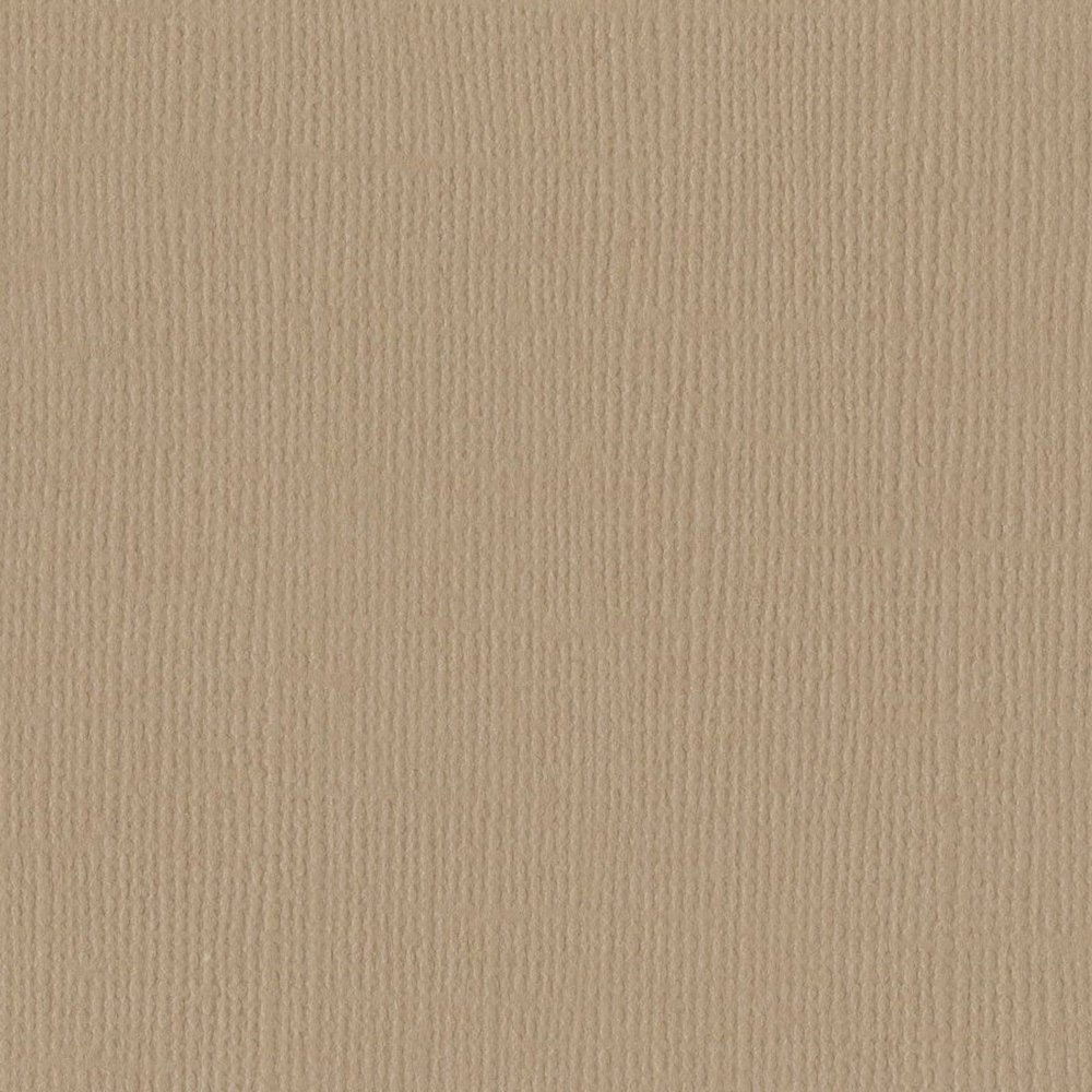 Bazzill BAZL-E-850 Bazzill Cardstock 12 x 12 Inch - Case of 25