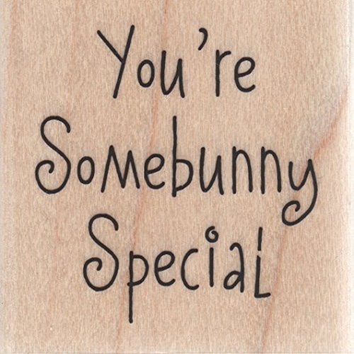 Somebunny Special Wood Mounted Rubber Stamp (B5931)
