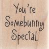 Somebunny Special Wood Mounted Rubber Stamp (B5931) view 1