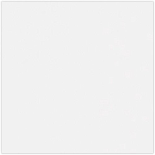 LUXPaper 12" x 12" Cardstock | White | 100lb. Cover | 1,000 Qty