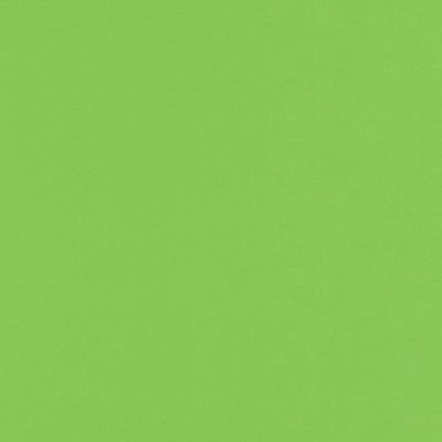 LUXPaper 12" x 12" Cardstock | Limelight Green | 100lb. Cover | 1,000 Qty