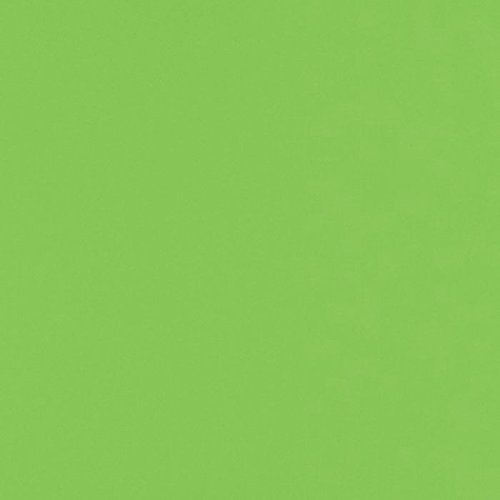 LUXPaper 12" x 12" Cardstock | Limelight Green | 100lb. Cover | 1,000 Qty