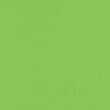 LUXPaper 12" x 12" Cardstock | Limelight Green | 100lb. Cover | 1,000 Qty view 1