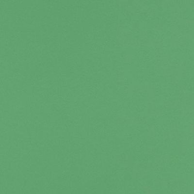 LUXPaper 12" x 12" Cardstock | Holiday Green | 100lb. Cover | 1,000 Qty
