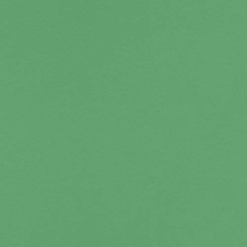 LUXPaper 12" x 12" Cardstock | Holiday Green | 100lb. Cover | 1,000 Qty