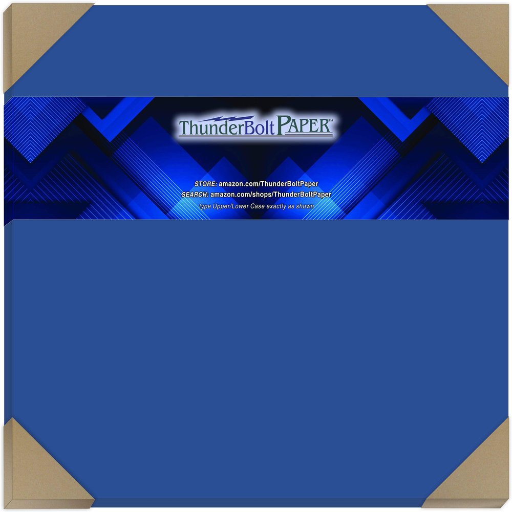 25 Royal Blue Color 65# Cover/Card Paper Sheets 12 X 12 Inches Scrapbook Album Cover Size - 65 lb/pound Light Weight Cardstock - Quality Smooth Paper Surface