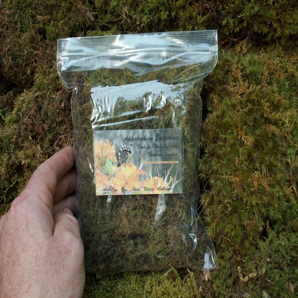 Appalachian Emporium's Moss Grow Transplant Craft 1qt Sheet Moss