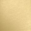 LUXPaper 8.5" x 11" Cardstock | Letter Size | Blonde Metallic | 107lb. Cover | 250 Qty view 1