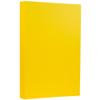 JAM PAPER Legal 65lb Cardstock - 8.5 x 14 Coverstock - 176 gsm - Yellow Recycled - 50 Sheets/Pack view 1