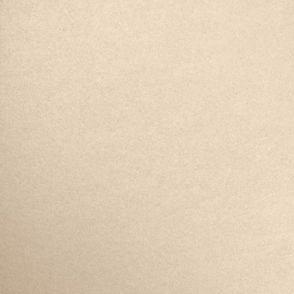 LUXPaper 8.5" x 11" Cardstock | Letter Size | Taupe Metallic | 105lb. Cover (192lb. Text) | 250 Qty