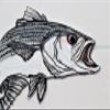 Nature's Bounty Beautiful Custom Fish Portraits[ Striped Bass Fish ] Embroidered Iron On/Sew Patch [5.8" x 5"]Made in USA] view 3