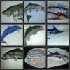 Nature's Bounty Beautiful Custom Fish Portraits[ Striped Bass Fish ] Embroidered Iron On/Sew Patch [5.8" x 5"]Made in USA] view 4