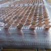 USA Copper Penny Round Coin Tile Sheets for Floor or Wall Art by: Stone Deals view 3