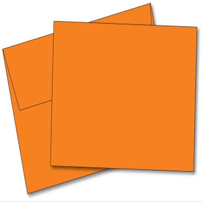 Blank Color Note Cards Uncoated, 5 x 7 Inches Cards - 40 Cards and Envelopes - (These are NOT Fold Over Cards) (Orange)